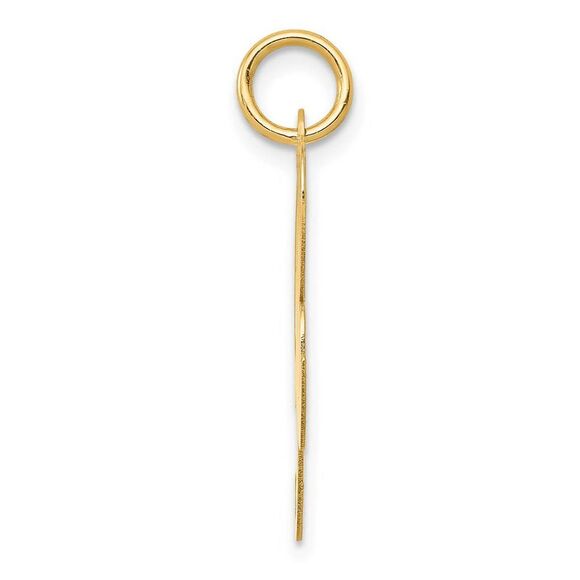 14k Yellow Gold, Ella Collection, LG Fancy Script Initial R Pendant - Picture 2 of 4